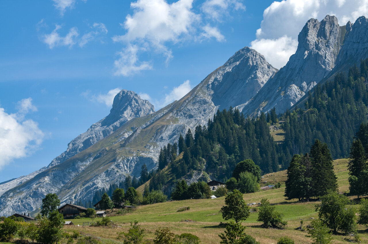Montagnes rocheuses, for�ts de sapins et prairies au camping CAPFUN Plan du Fernuy � LA CLUSAZ.