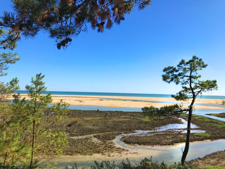 Plage, estuaire et mer au camping CAPFUN Prises, La TRANCHE SUR MER.