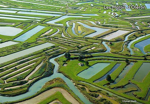 Marais d'Ol�ron vus du ciel, paysage naturel � d�couvrir pr�s de Saint-Georges-d'Ol�ron.