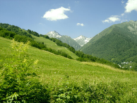 Montagnes verdoyantes, sommets enneigés et vallée alpine au camping CAPFUN Saint Colomban des Villards.