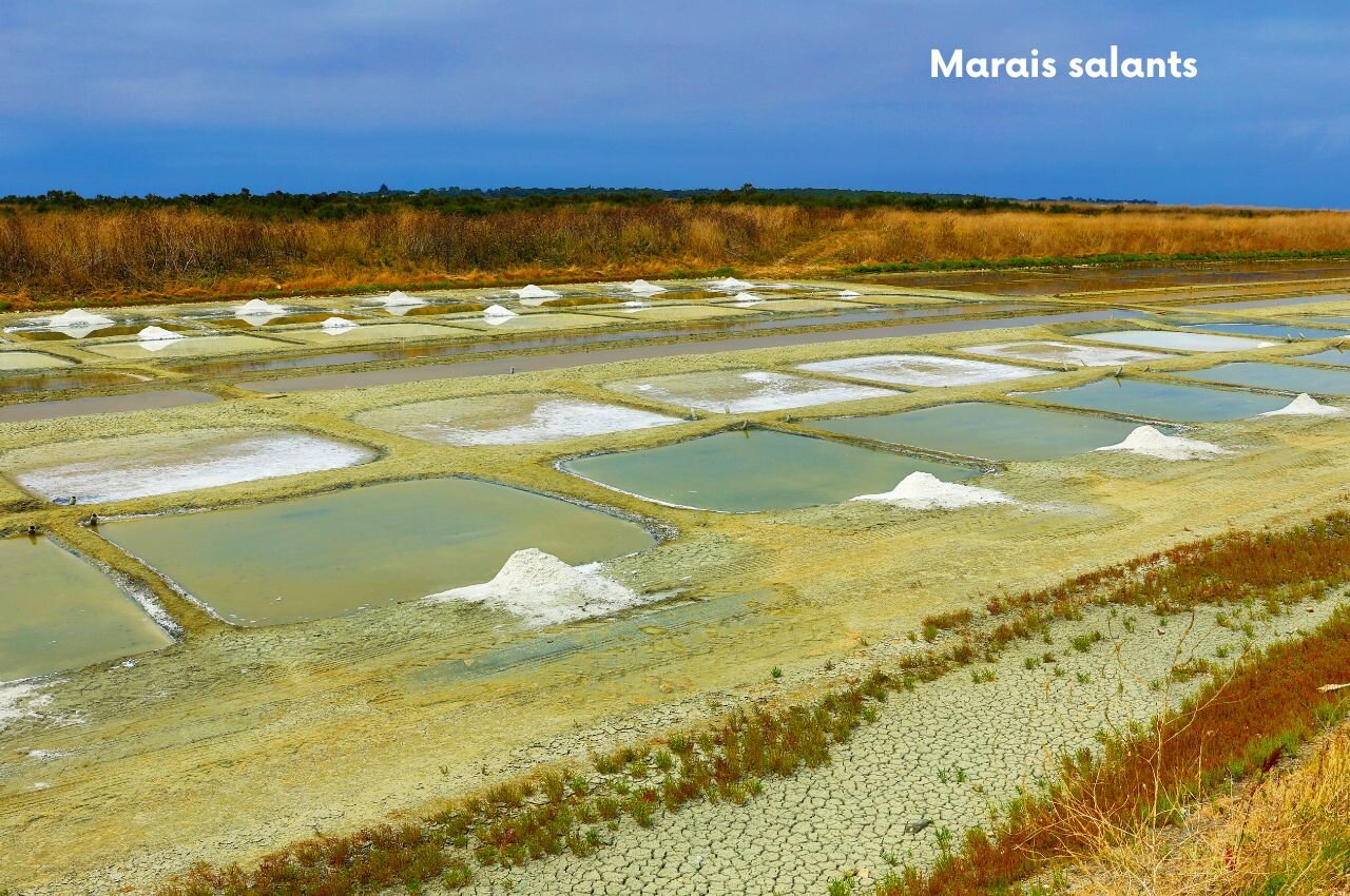Marais salants avec monticules de sel, lieu � visiter pr�s de Saint-Denis-d'Ol�ron (17).