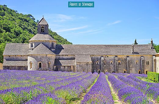Abbaye de Sénanque et champs de lavande près de Gordes, en Provence.