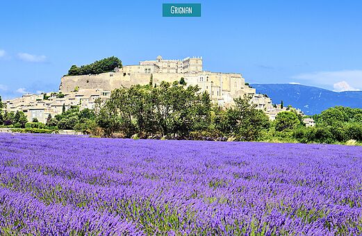 Château de Grignan et champs de lavande, un lieu à visiter en Drôme Provençale.