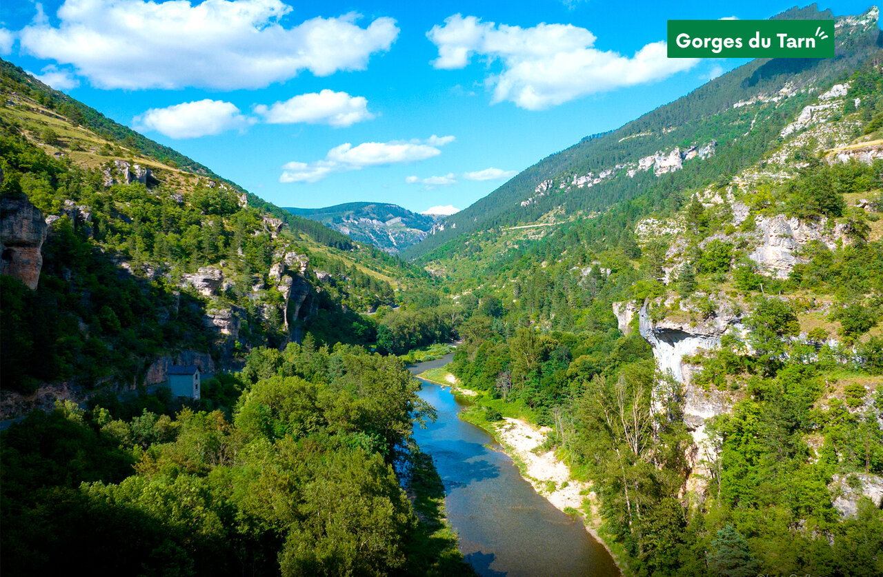 Gorges du Tarn, rivi�re sinueuse et falaises verdoyantes, lieu touristique en Occitanie.