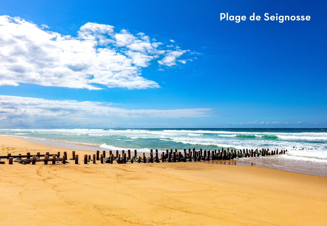 Plage de Seignosse, une magnifique �tendue de sable � visiter pr�s du camping.