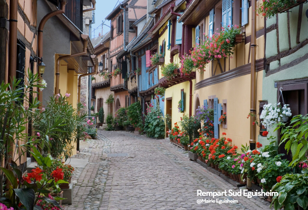 Rue pav�e fleurie et maisons color�es � colombages, village d'Eguisheim en Alsace.
