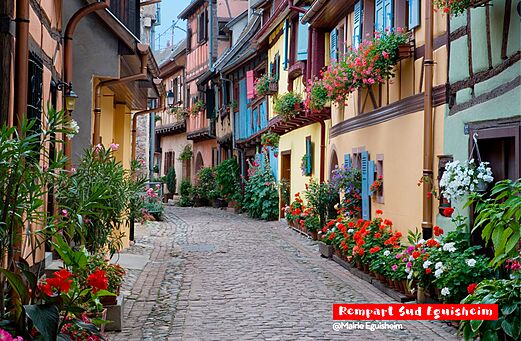Rue pav�e fleurie et maisons color�es � Eguisheim, village d'Alsace.