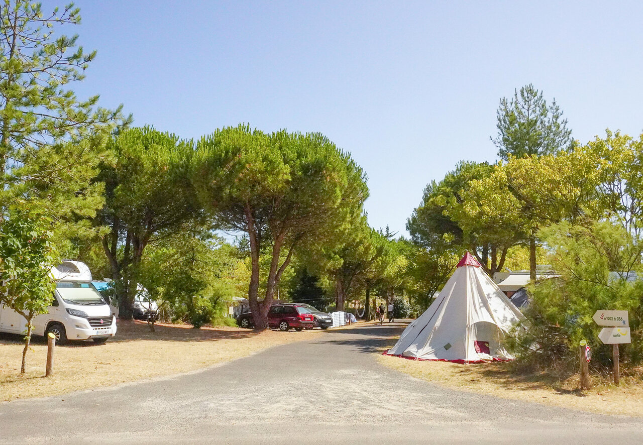 Emplacements ombrag�s au camping CLICOCHIC Plage des Tonnelles � Saint-Jean-de-Monts (85).