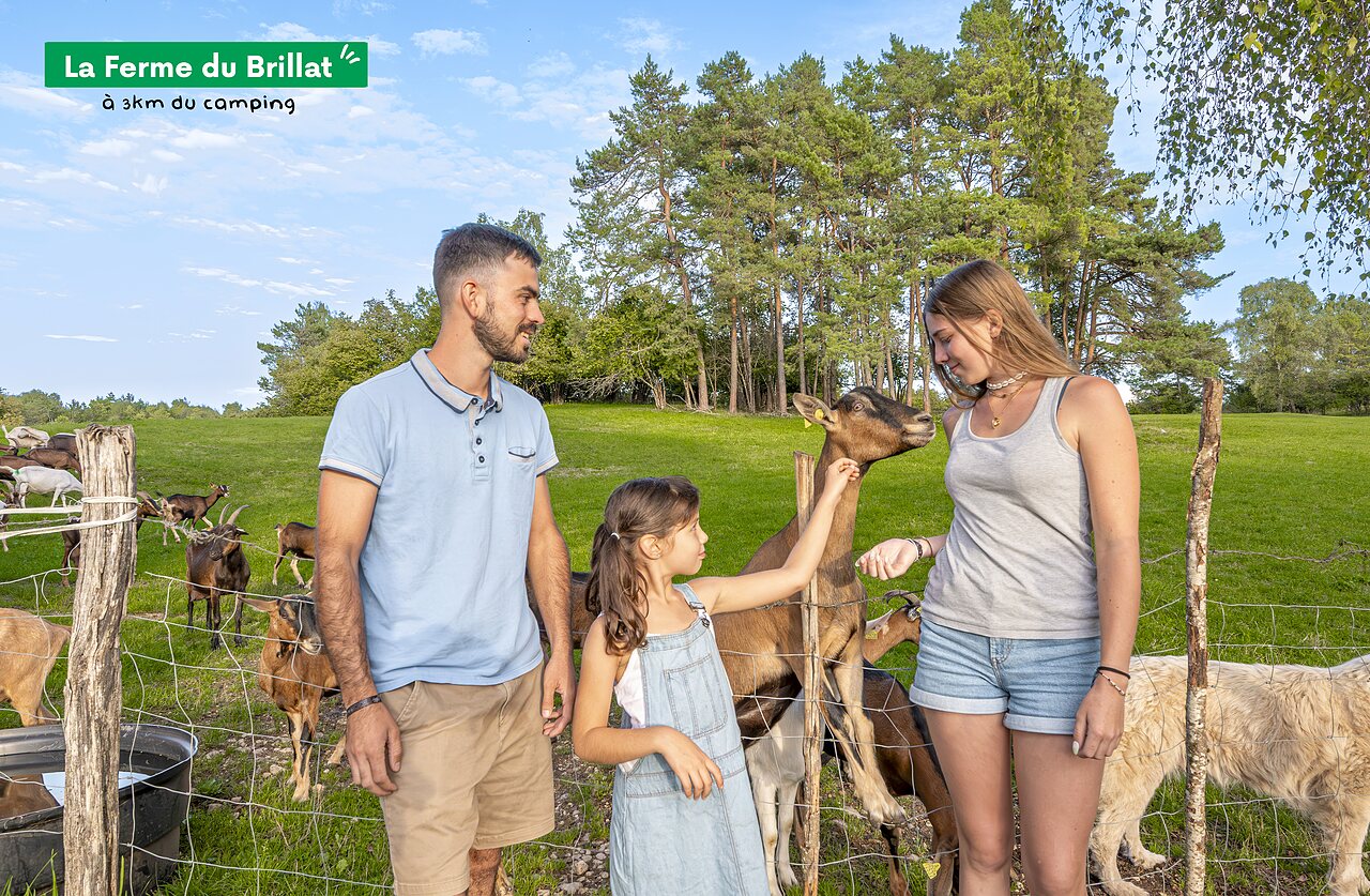 Famille nourrissant des ch�vres � la Ferme du Brillat, lieu � visiter.