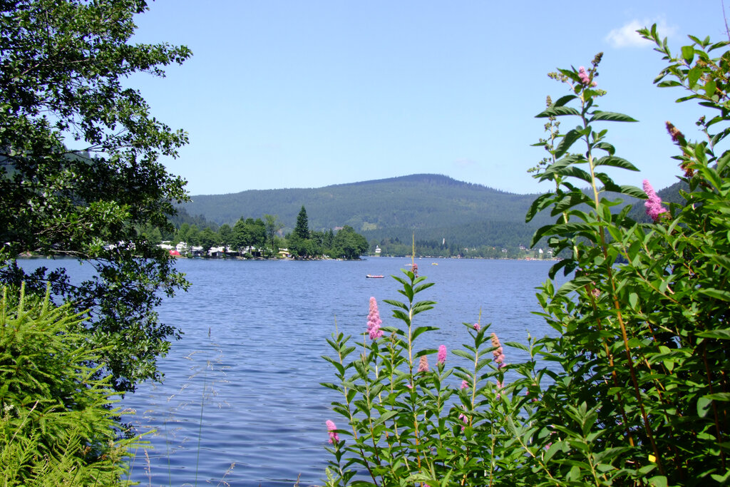 Verte Valle, Camping Lorraine - 9