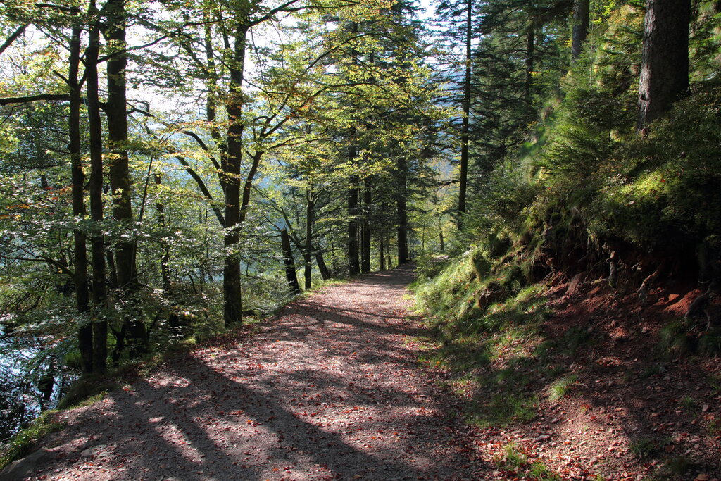 Verte Valle, Camping Lorraine - 12
