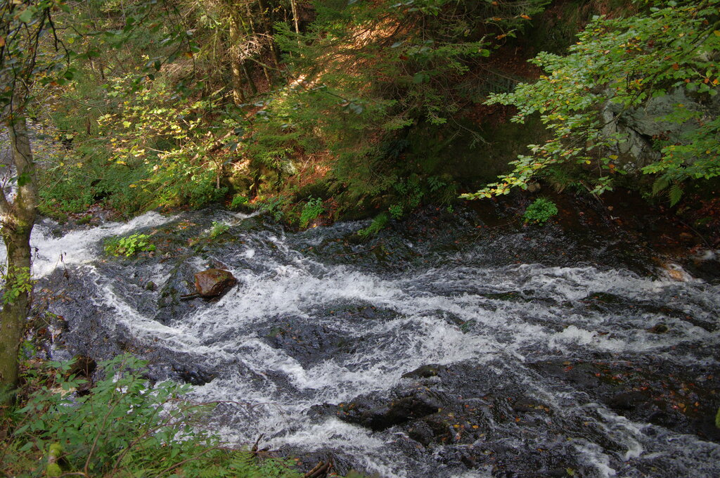 Verte Valle, Camping Lorraine - 15