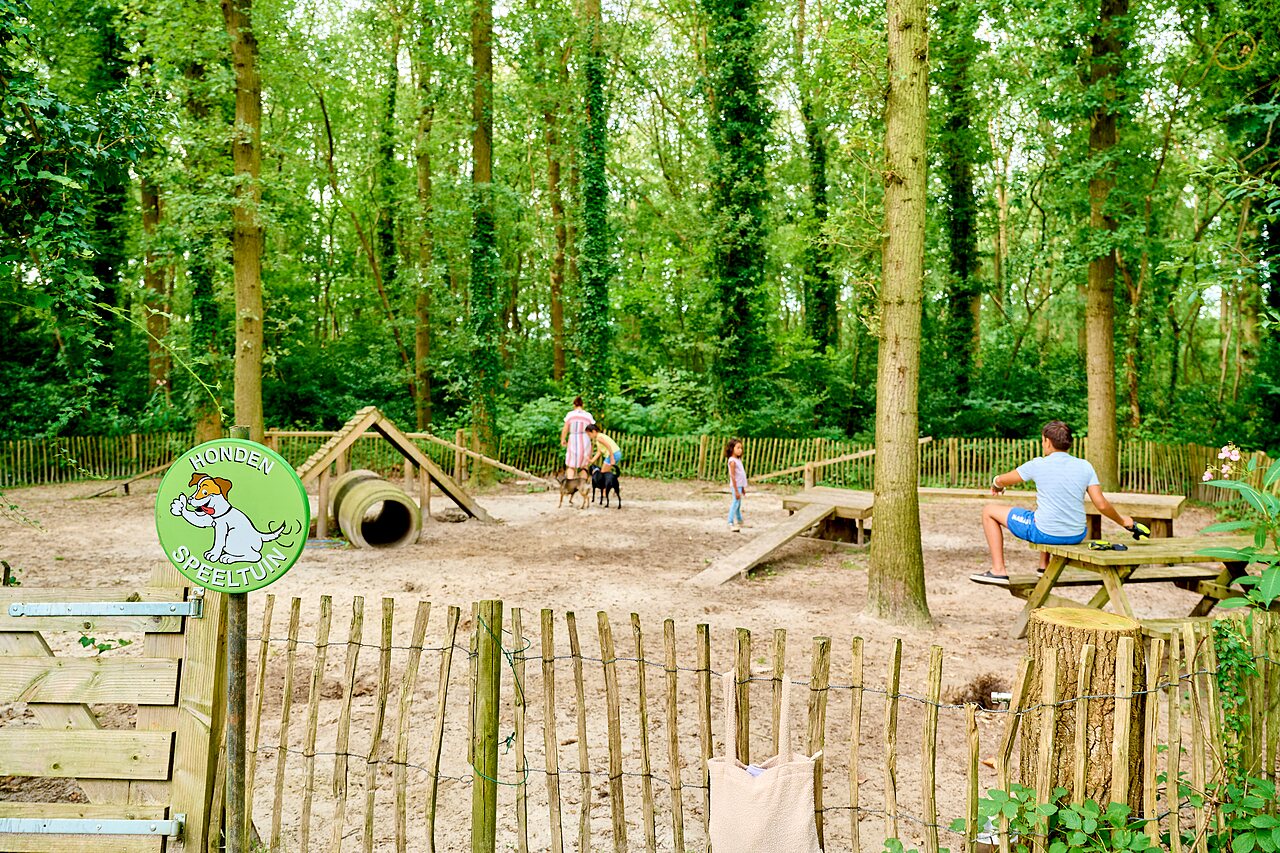 Aire de jeux pour chiens avec �quipements d'agilit� au camping CAPFUN De Waldsang � Bakkeveen.